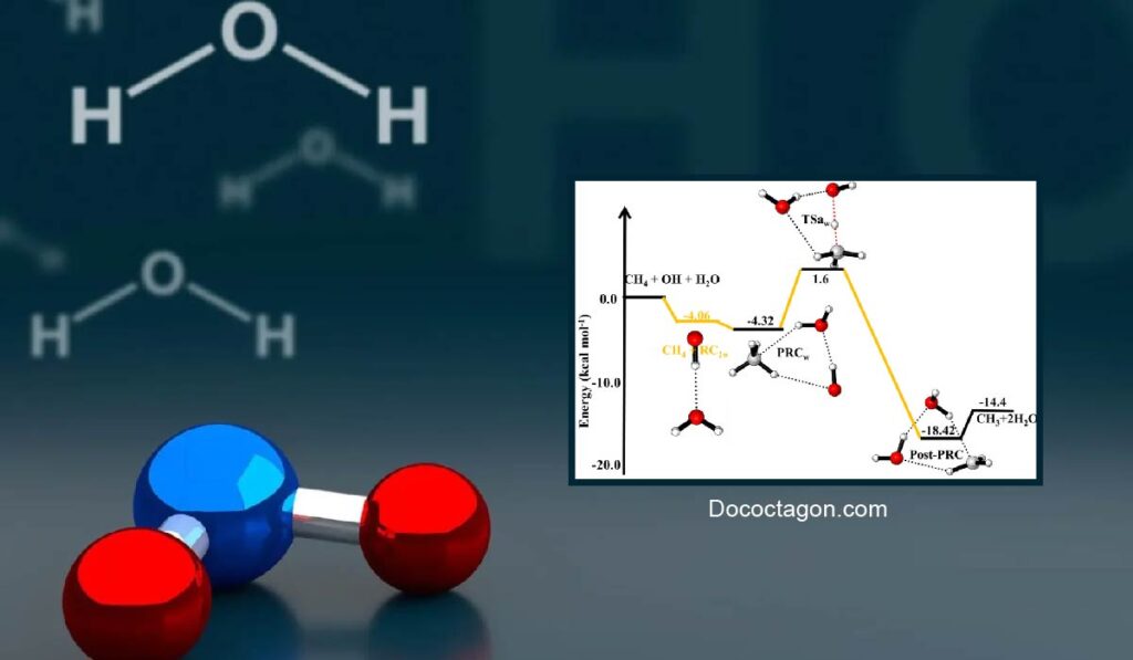 HCOOCH-CH₂-H₂O: Mechanistic Pathways and Industrial Applications HCOOCH-CH₂-H₂O