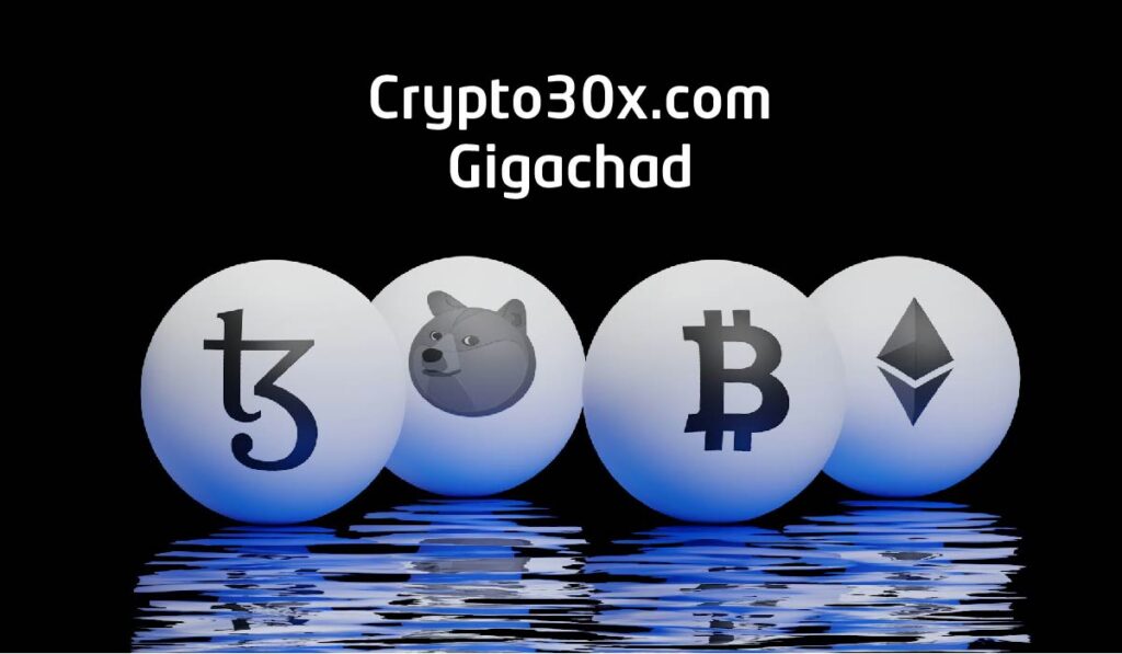 Unlocking the Power of Crypto: The Rise of the crypto30x.com Gigachad crypto30x.com gigachad